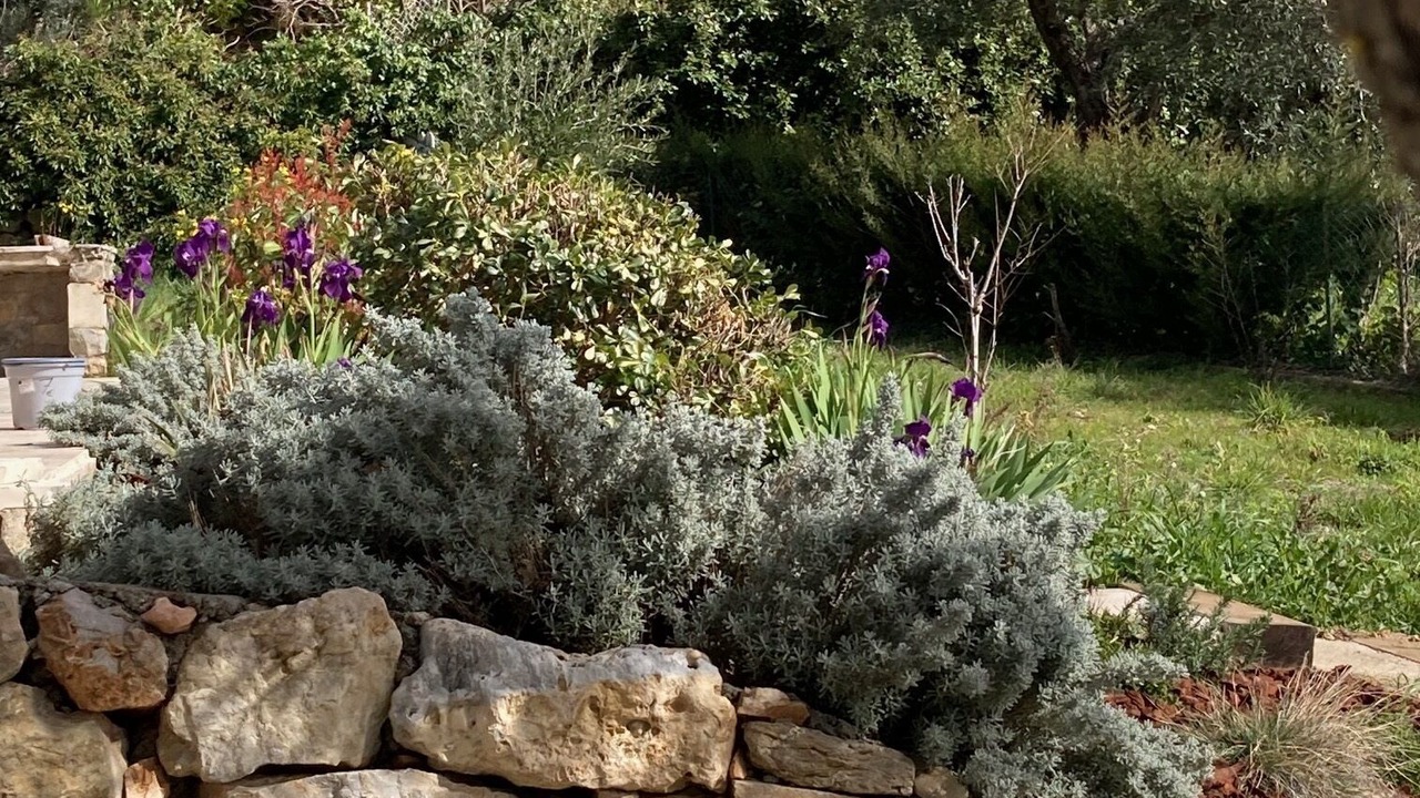 Photo of Outdoor in Bargemon