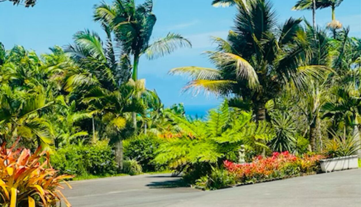 Photo of Outdoor in Hakalau
