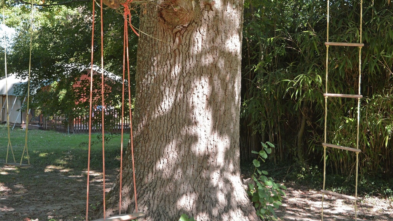 Photo of Others in Artigat