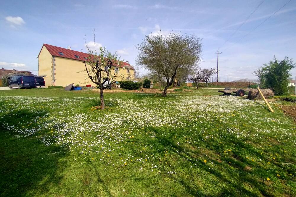 Photo of Others in Savoisy