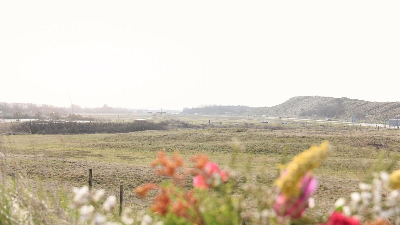 Photo of Outdoor in Wesselerbrink