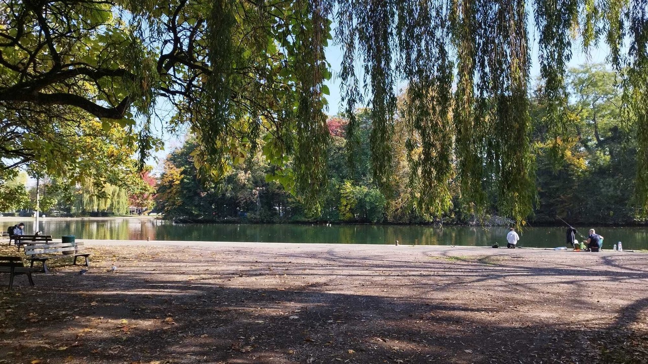 Photo of Outdoor in Faubourg-Raines