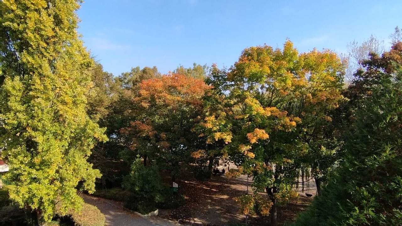 Photo of Outdoor in Faubourg-Raines