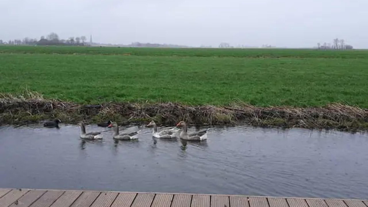 Photo of Others in Hitzum