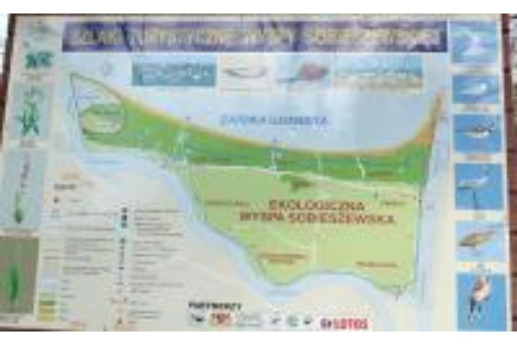 Photo of Outdoor in Wyspa Sobieszewska