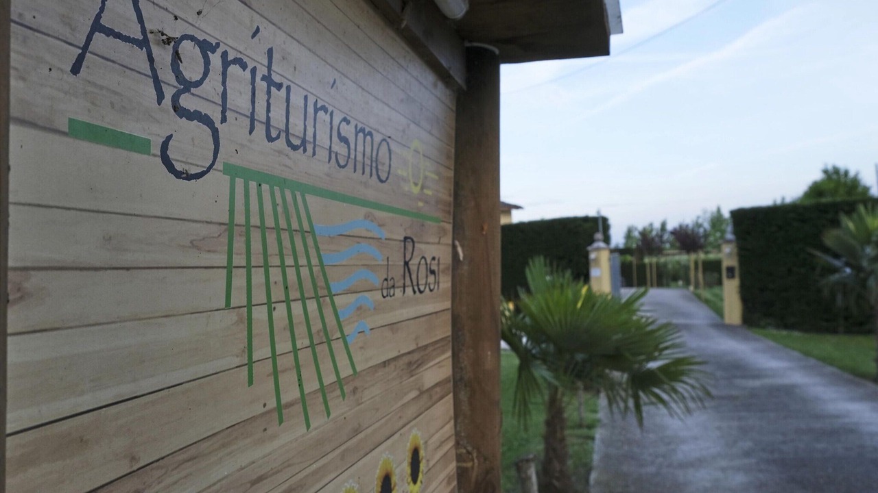 Photo of Outdoor in Codevigo