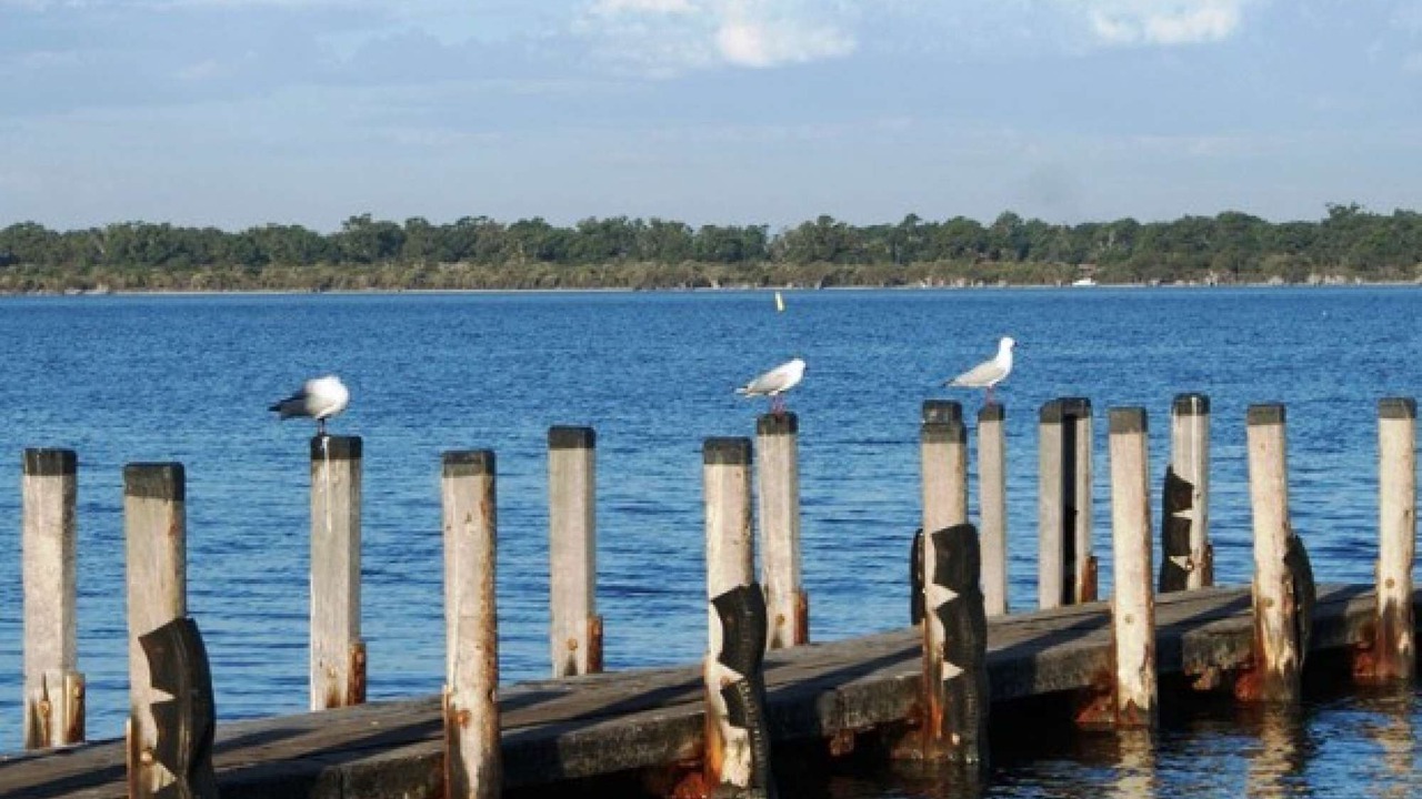 Photo of Others in Dawesville