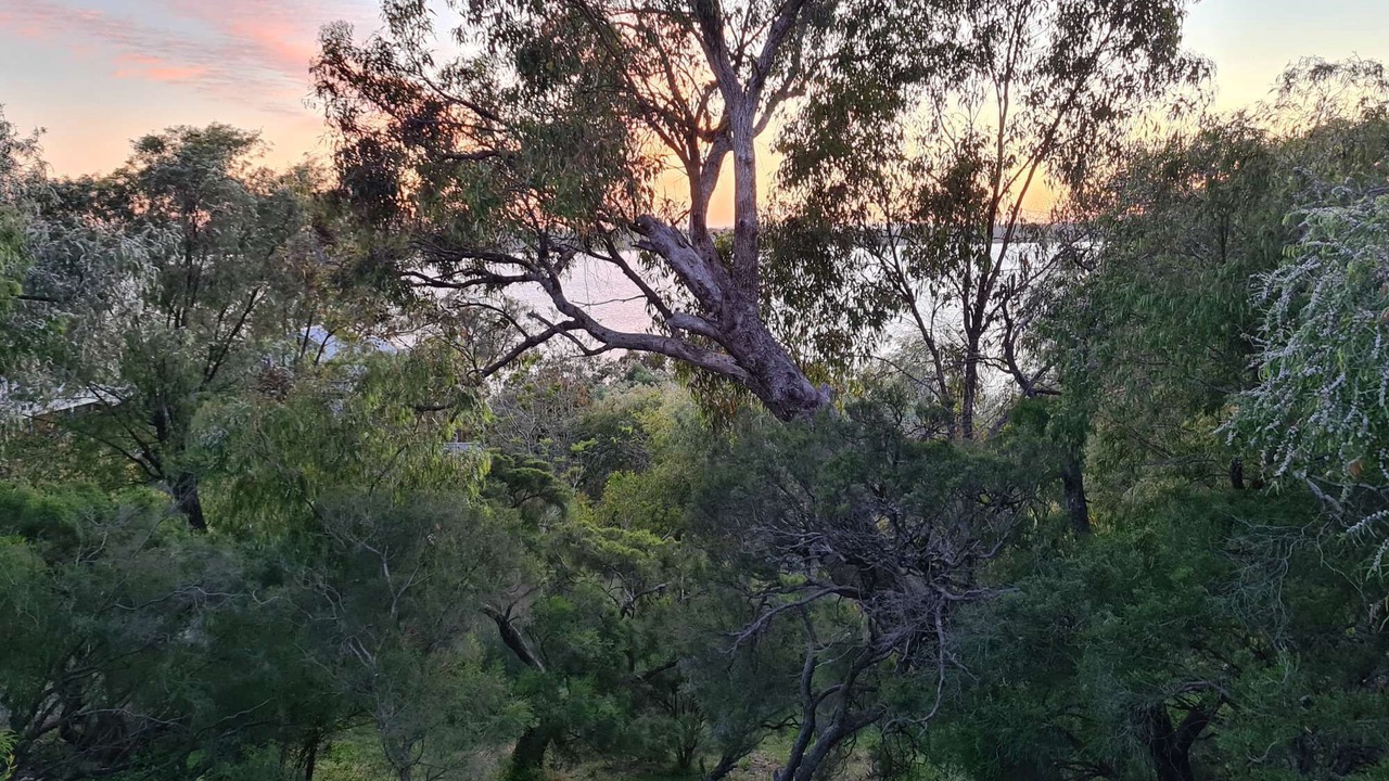 Photo of Others in Dawesville
