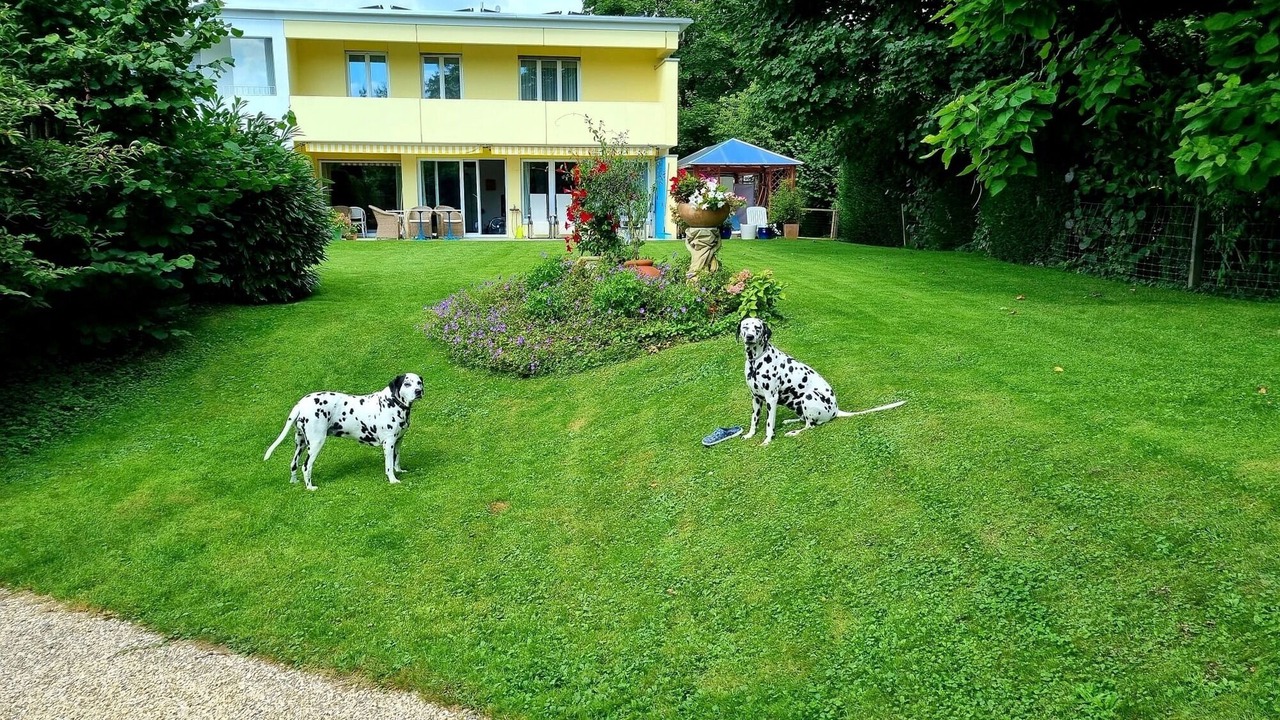 Photo of Outdoor in Cham