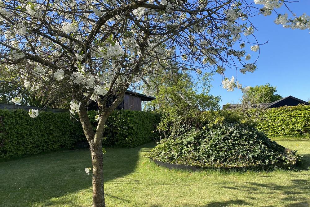 Photo of Outdoor in Vejlby Risskov