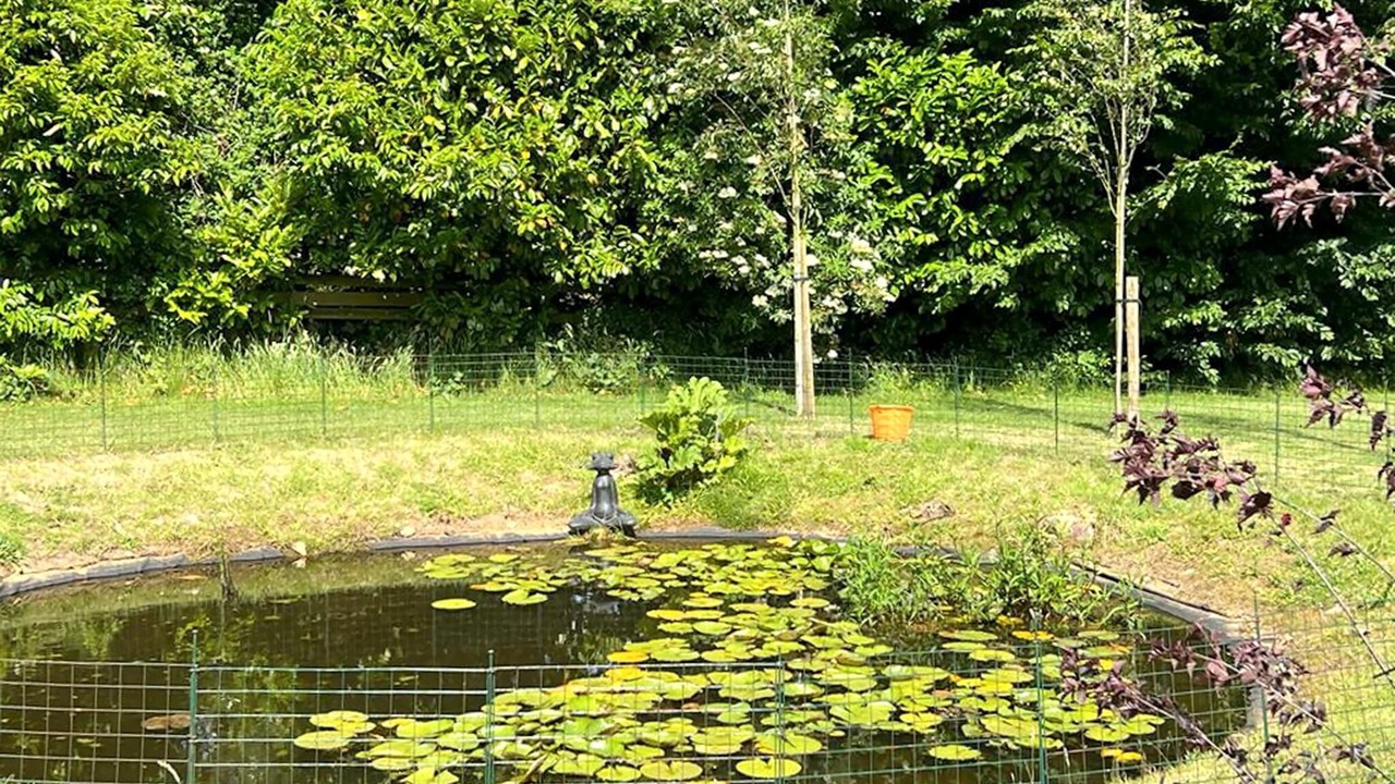 Photo of Outdoor in Etchinghill