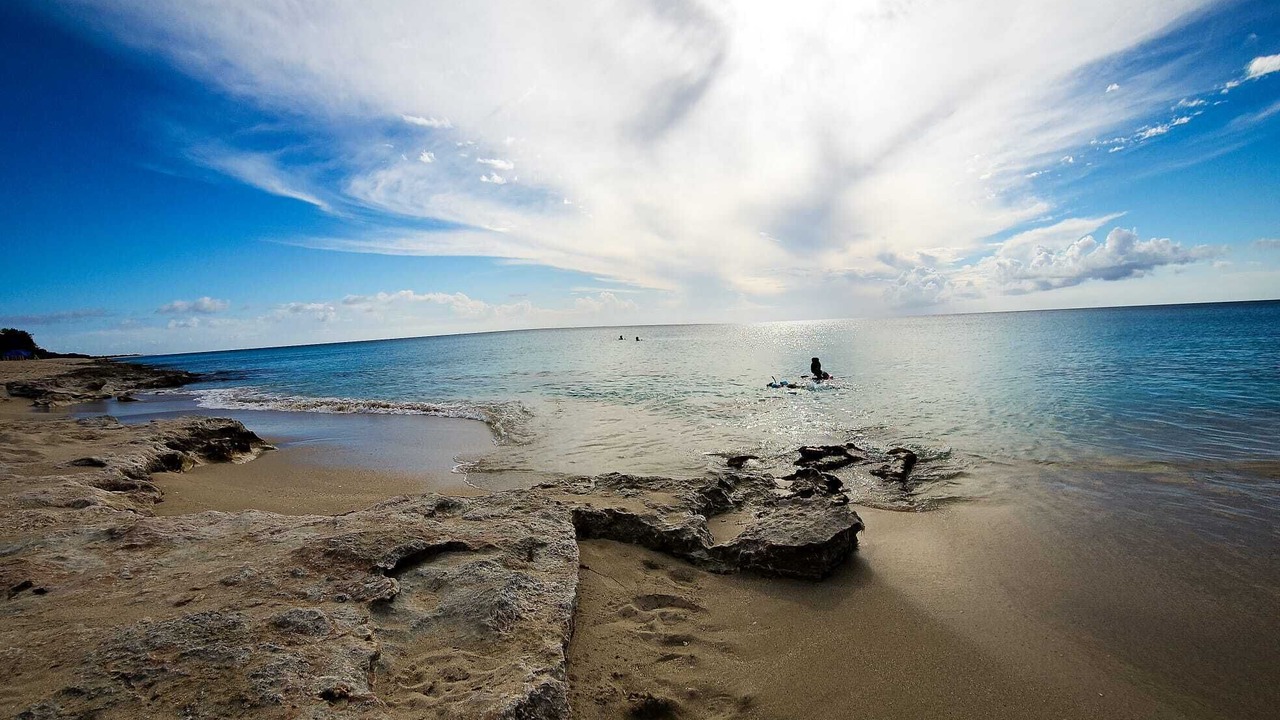 Photo of Others in Frederiksted Southeast