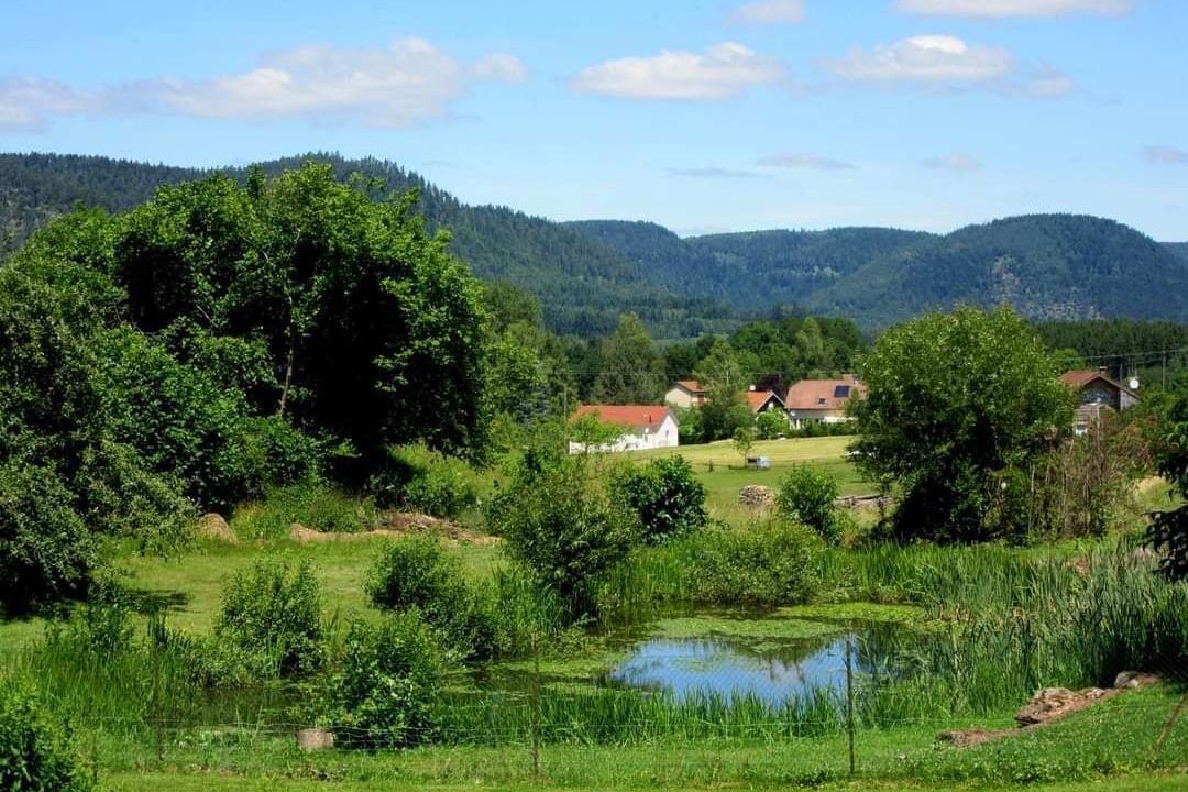 Photo of Outdoor in Taintrux