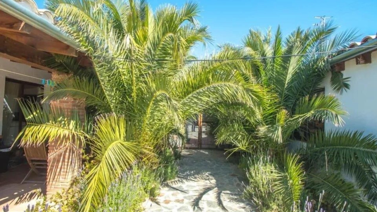 Photo of Outdoor in Alora