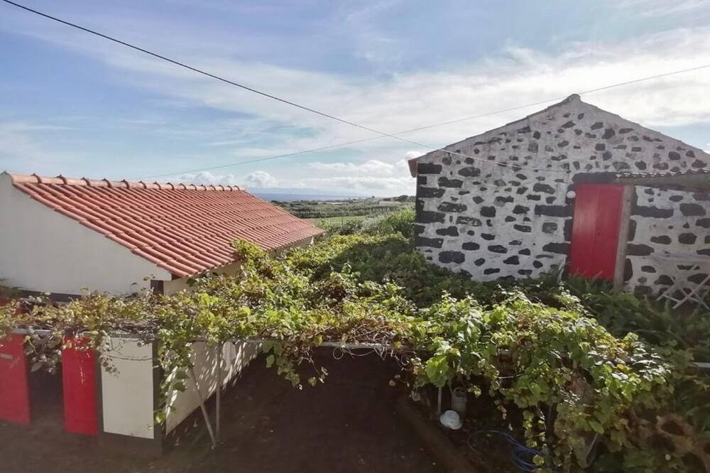 Photo of Outdoor in Horta