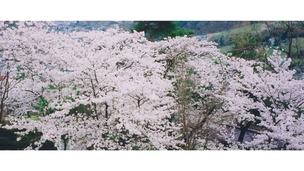 Photo of Outdoor in Chikuma