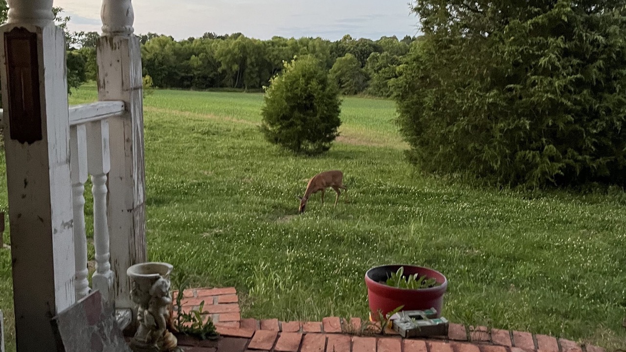 Photo of Outdoor in Cunningham