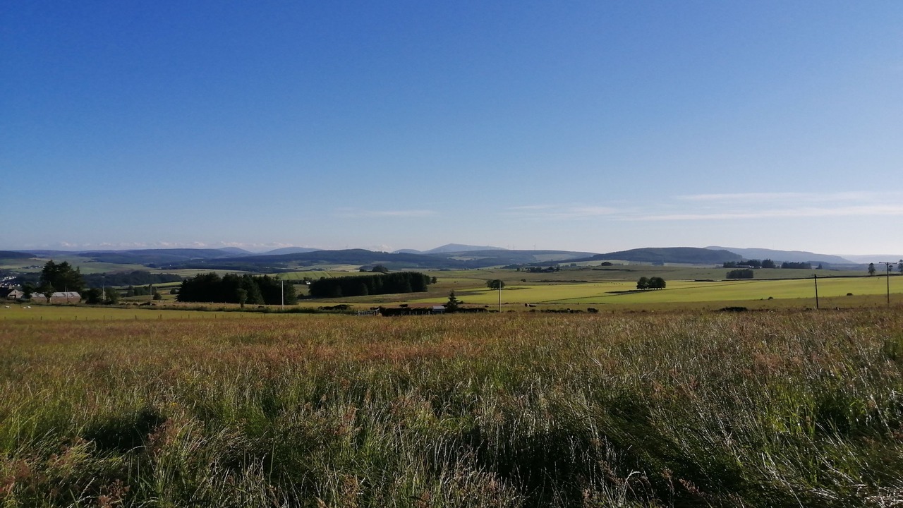 Photo of Outdoor in Keith