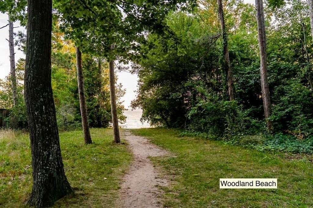 Photo of Outdoor in Tiny