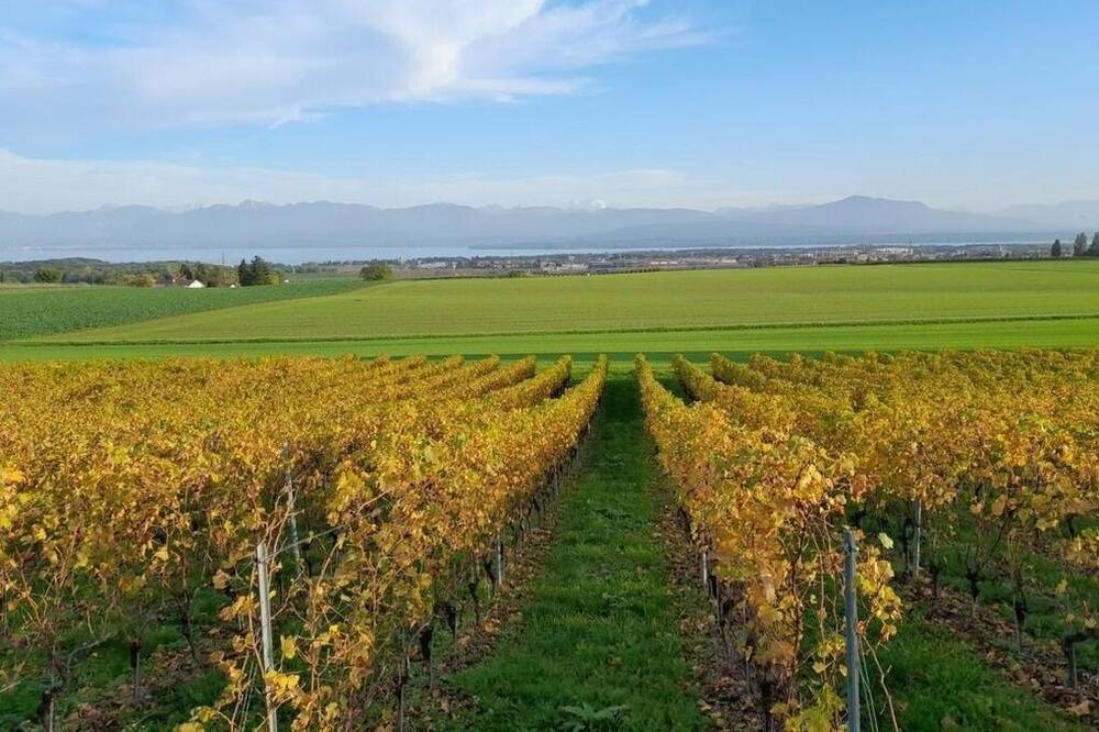 Photo of Outdoor in Luins