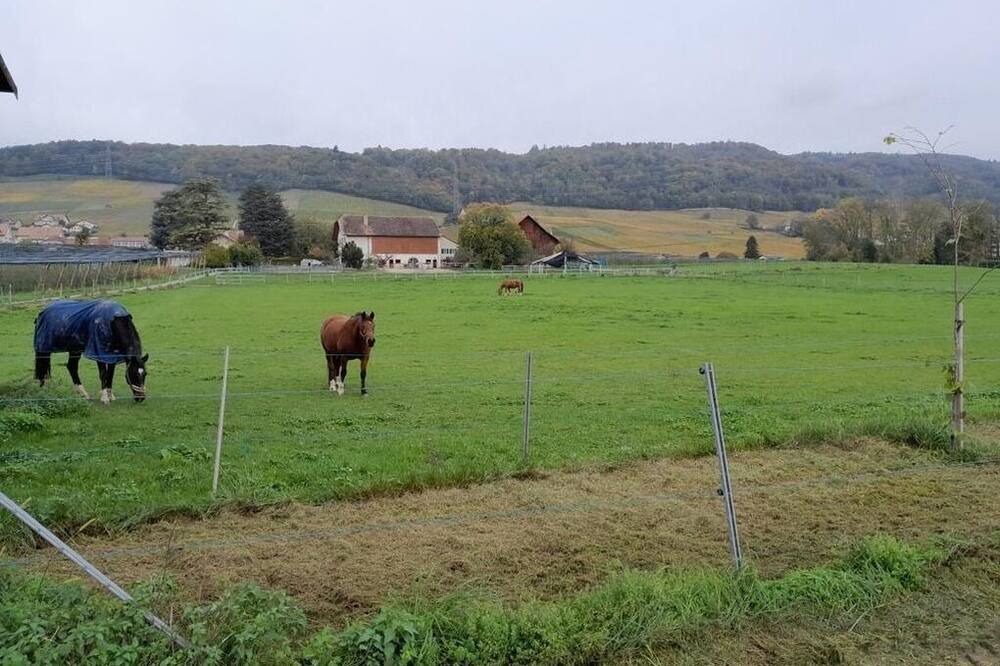 Photo of Others in Luins