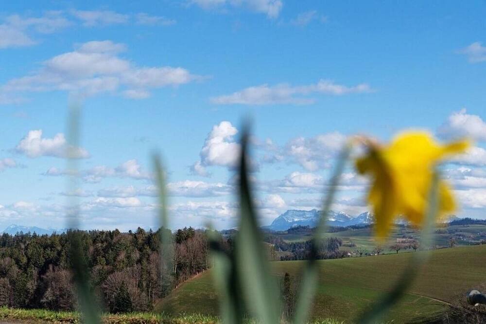 Photo of Others in Rohrbachgraben