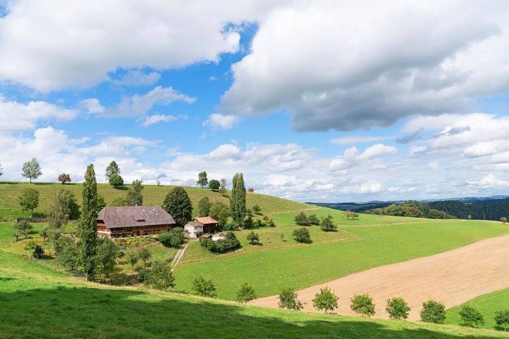Photo of Outdoor in Rohrbachgraben
