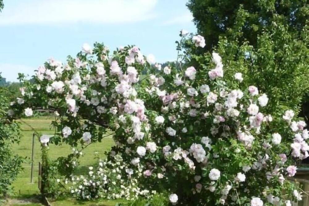 Photo of Outdoor in Hasle bei Burgdorf