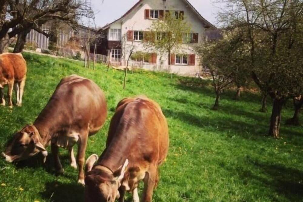 Photo of Others in Schneisingen