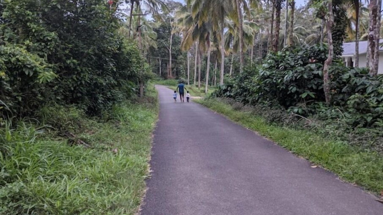 Photo of Outdoor in Sulthan Bathery