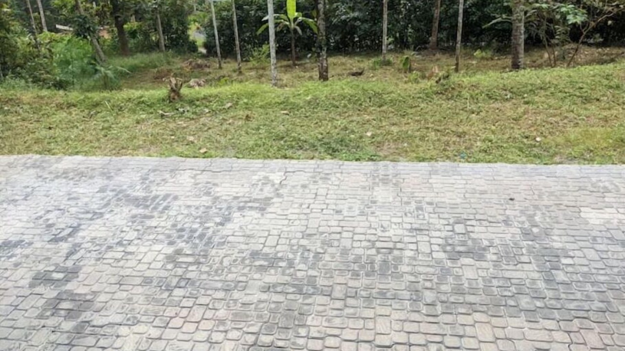 Photo of Outdoor in Sulthan Bathery