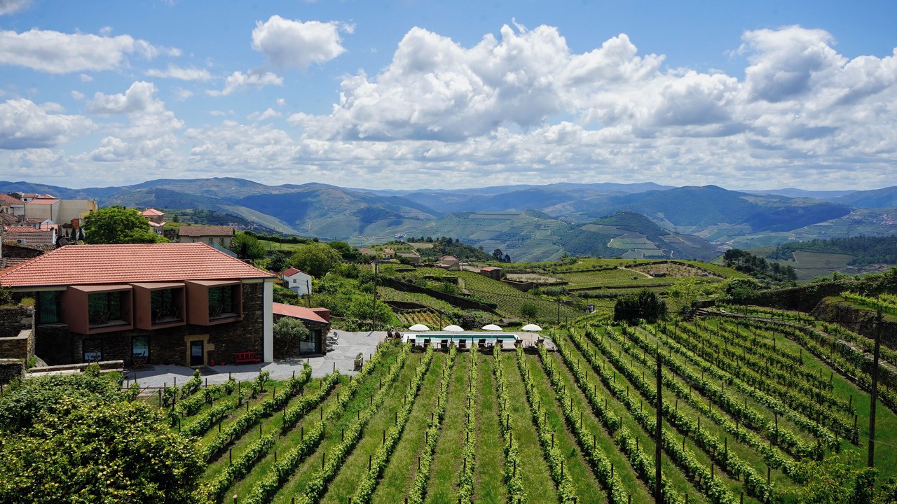 Photo of Outdoor in Provesende