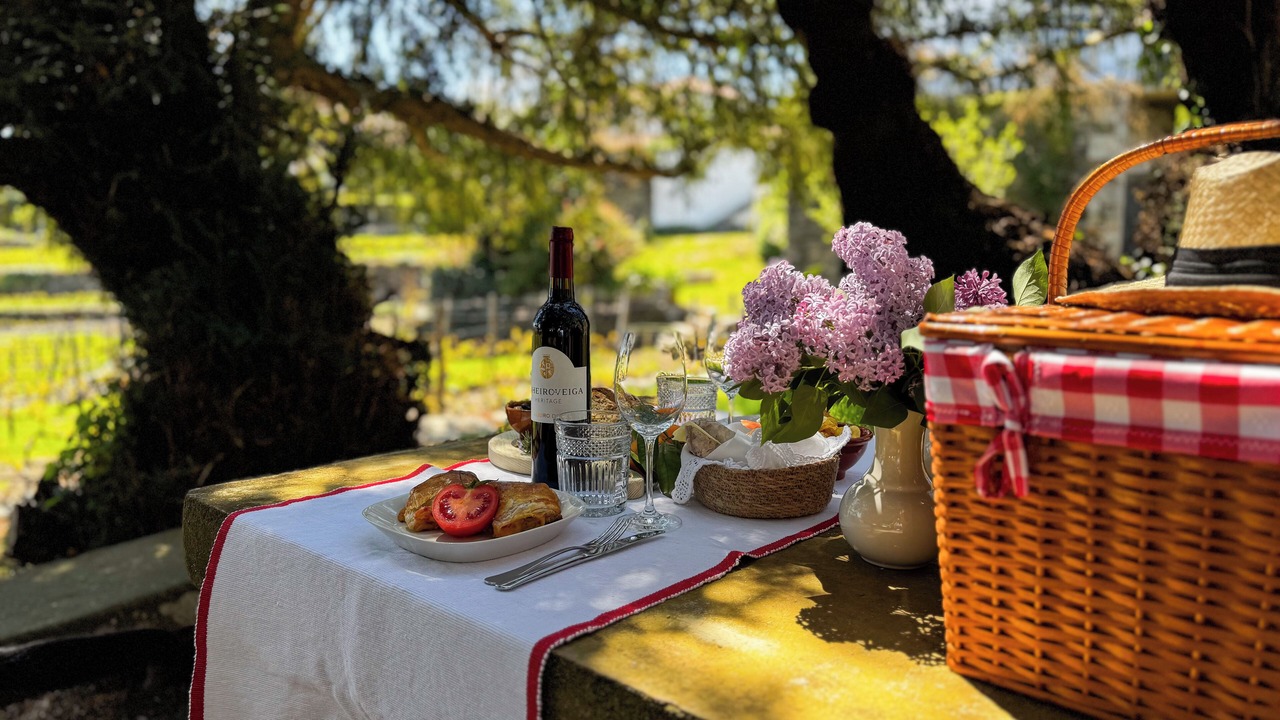 Photo of Outdoor in Provesende