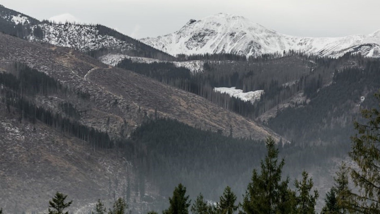 Photo of Outdoor in Koscielisko