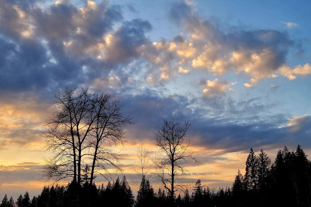 Photo of Outdoor in Maple Ridge