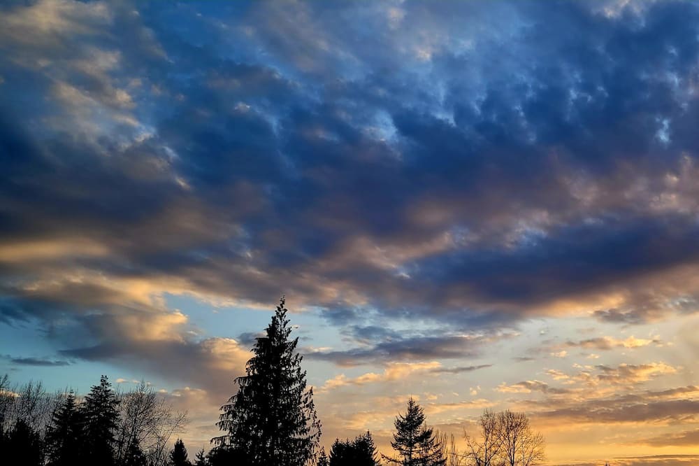 Photo of Outdoor in Maple Ridge