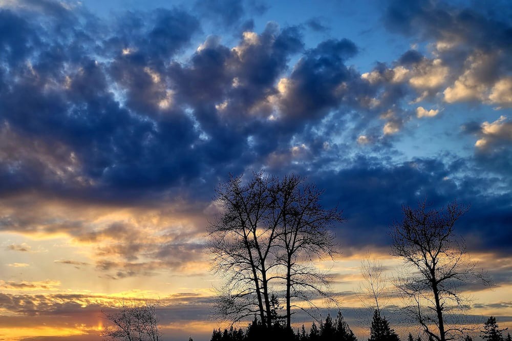 Photo of Outdoor in Maple Ridge