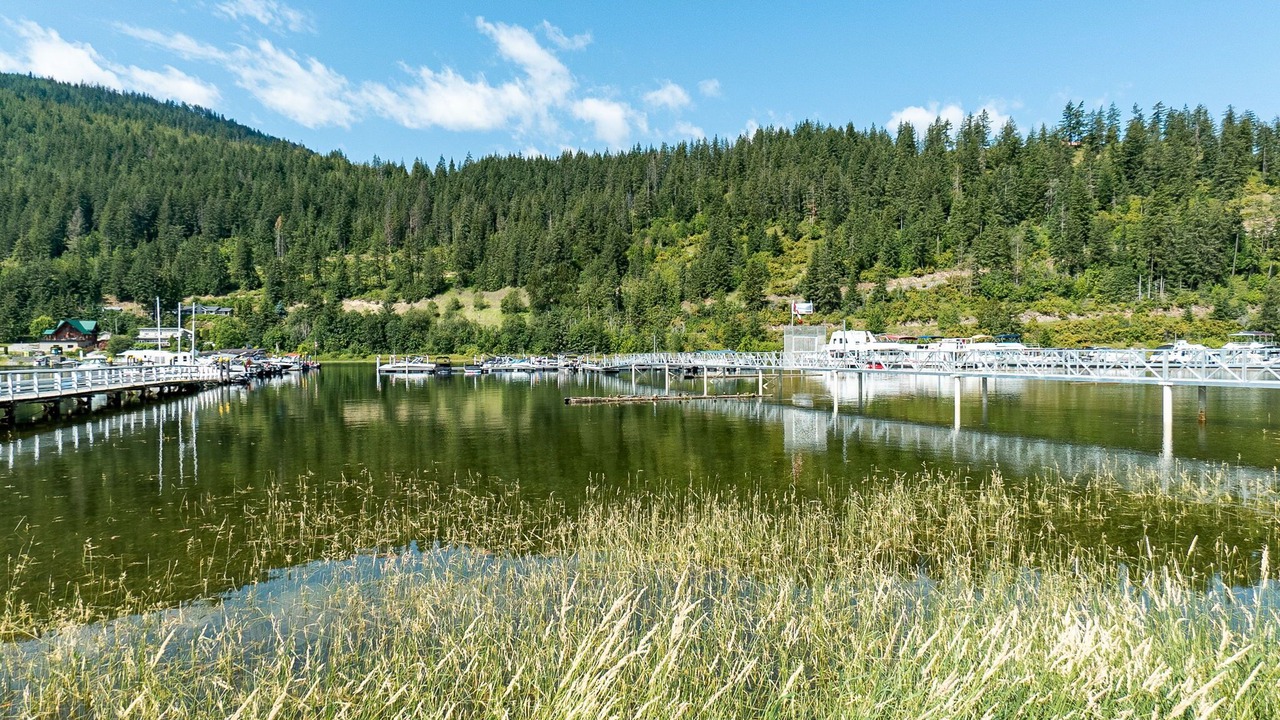 Photo of Others in Sicamous