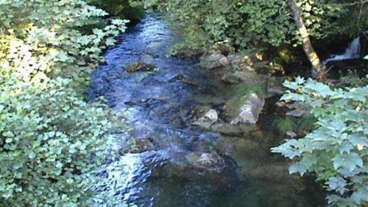 Photo of Others in Molares