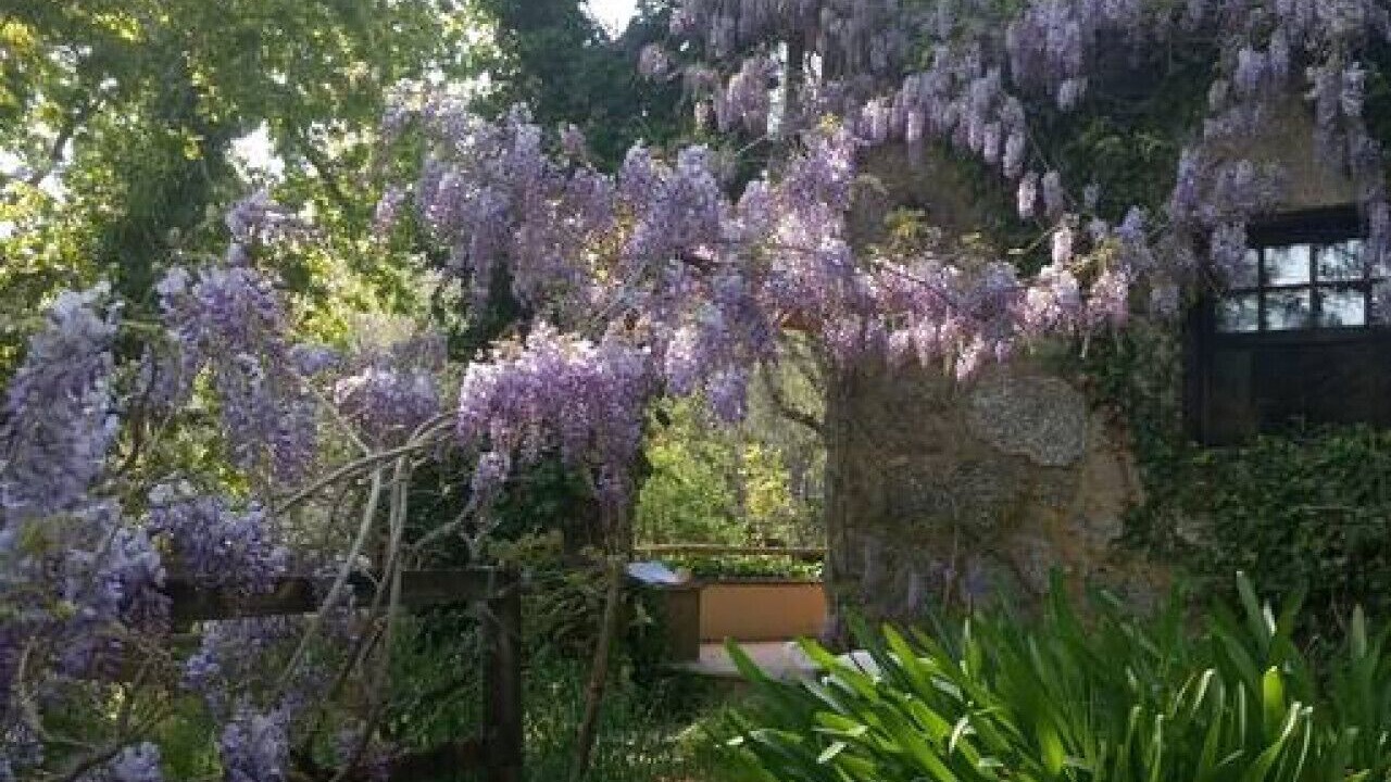 Photo of Outdoor in Molares