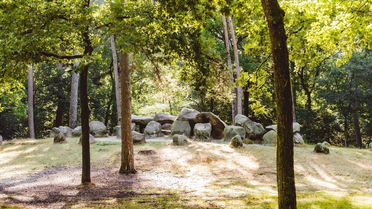 Photo of Outdoor in Gasselternijveen
