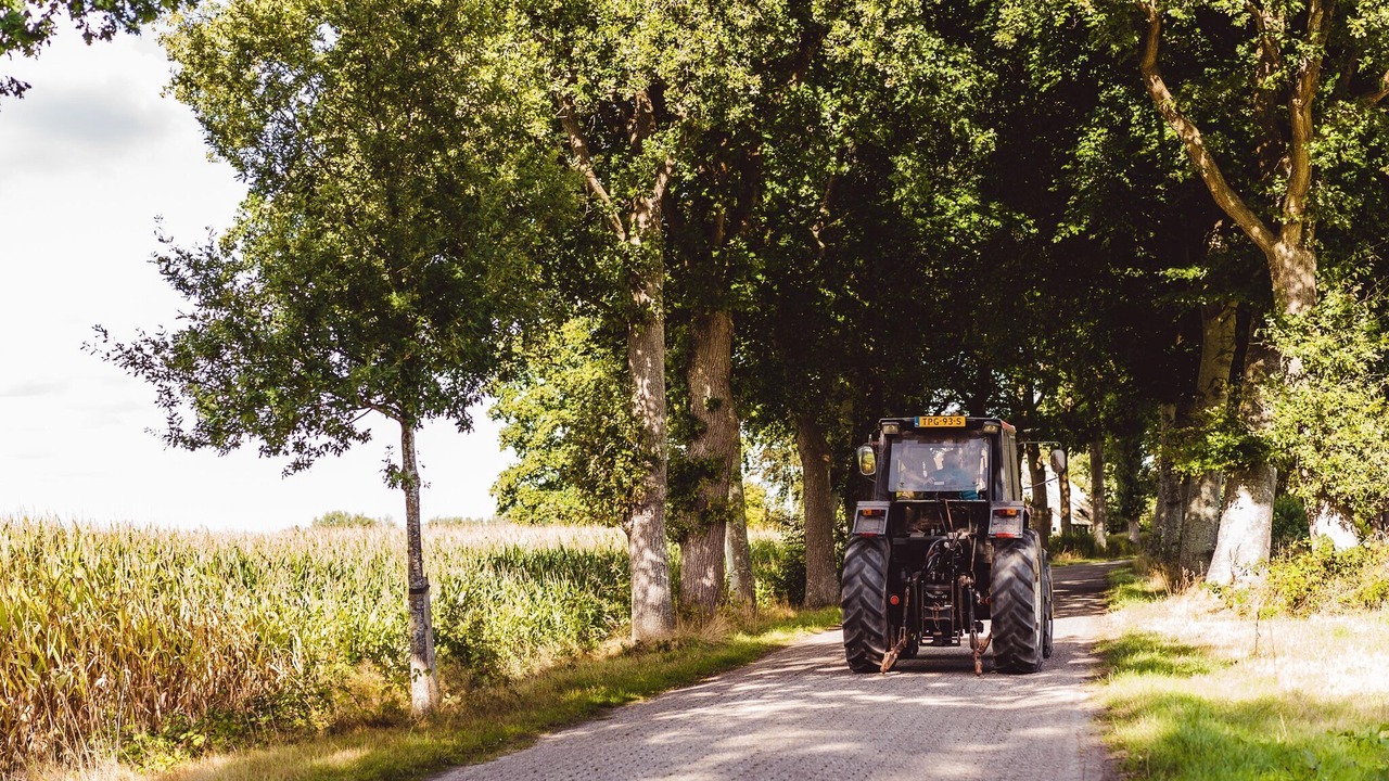 Photo of Others in Gasselternijveen