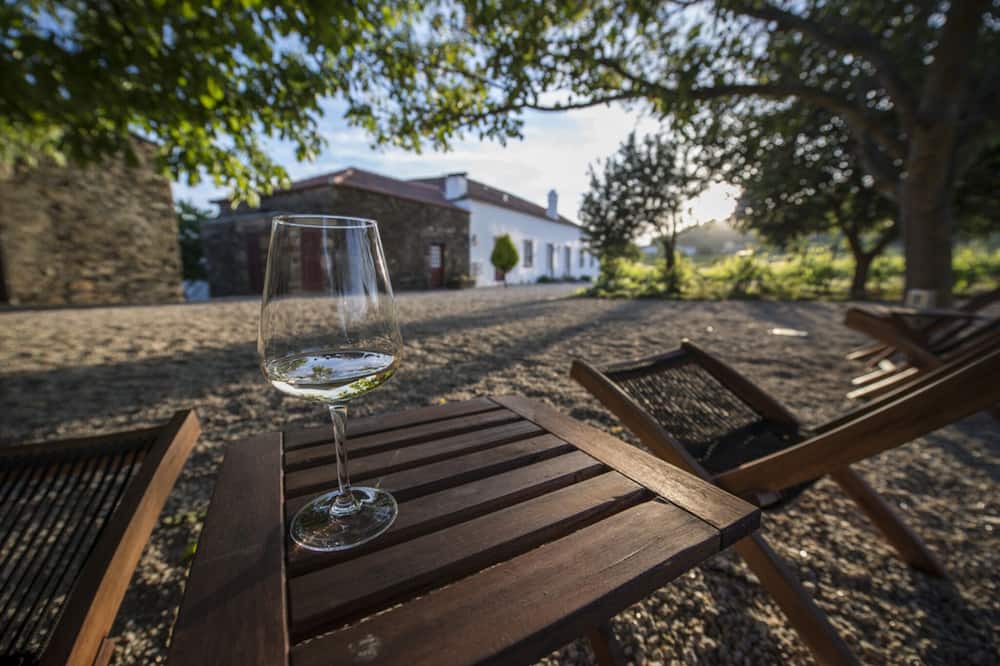 Photo of Outdoor in Provesende