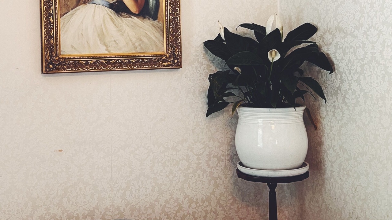 Photo of Bedroom in Logan