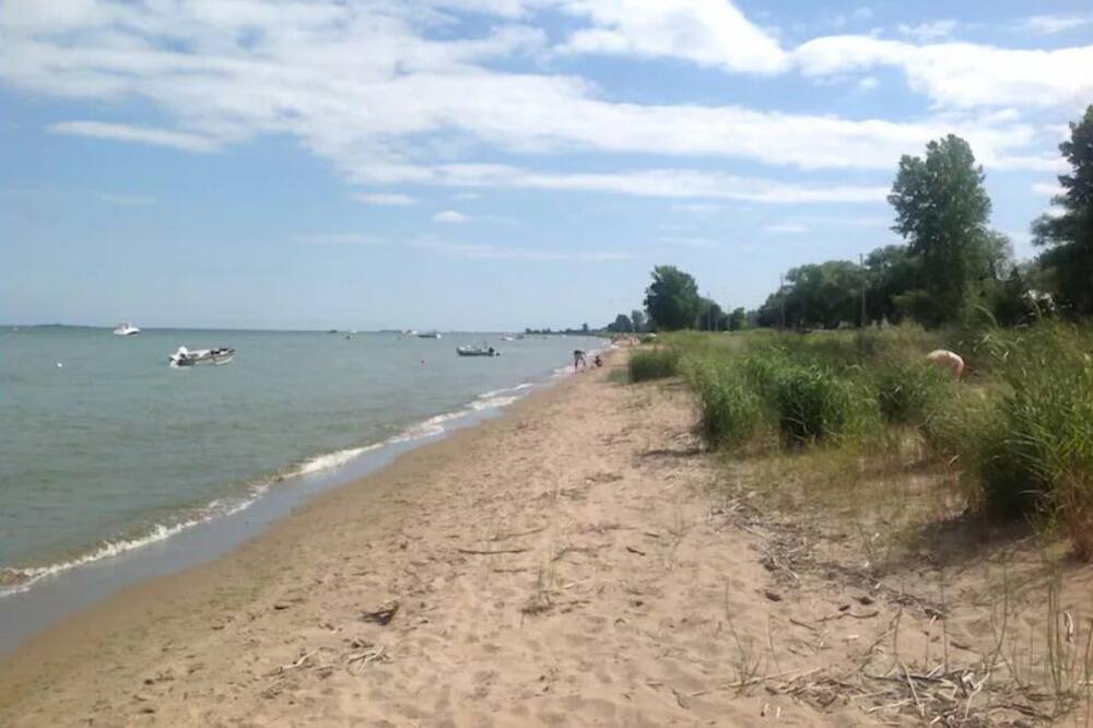 Photo of Others in Turkey Point