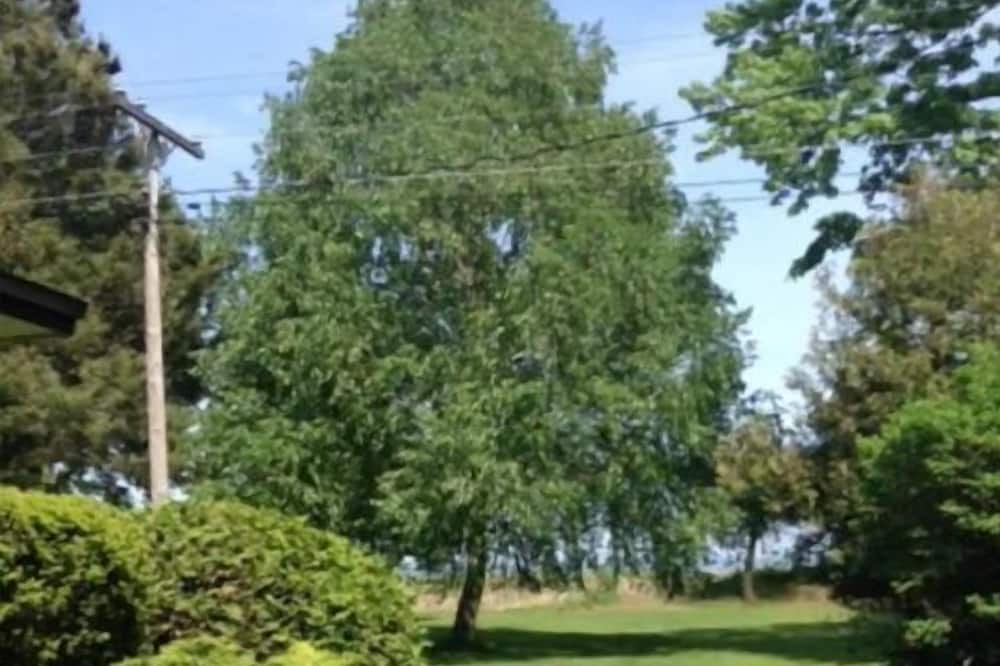 Photo of Outdoor in Turkey Point