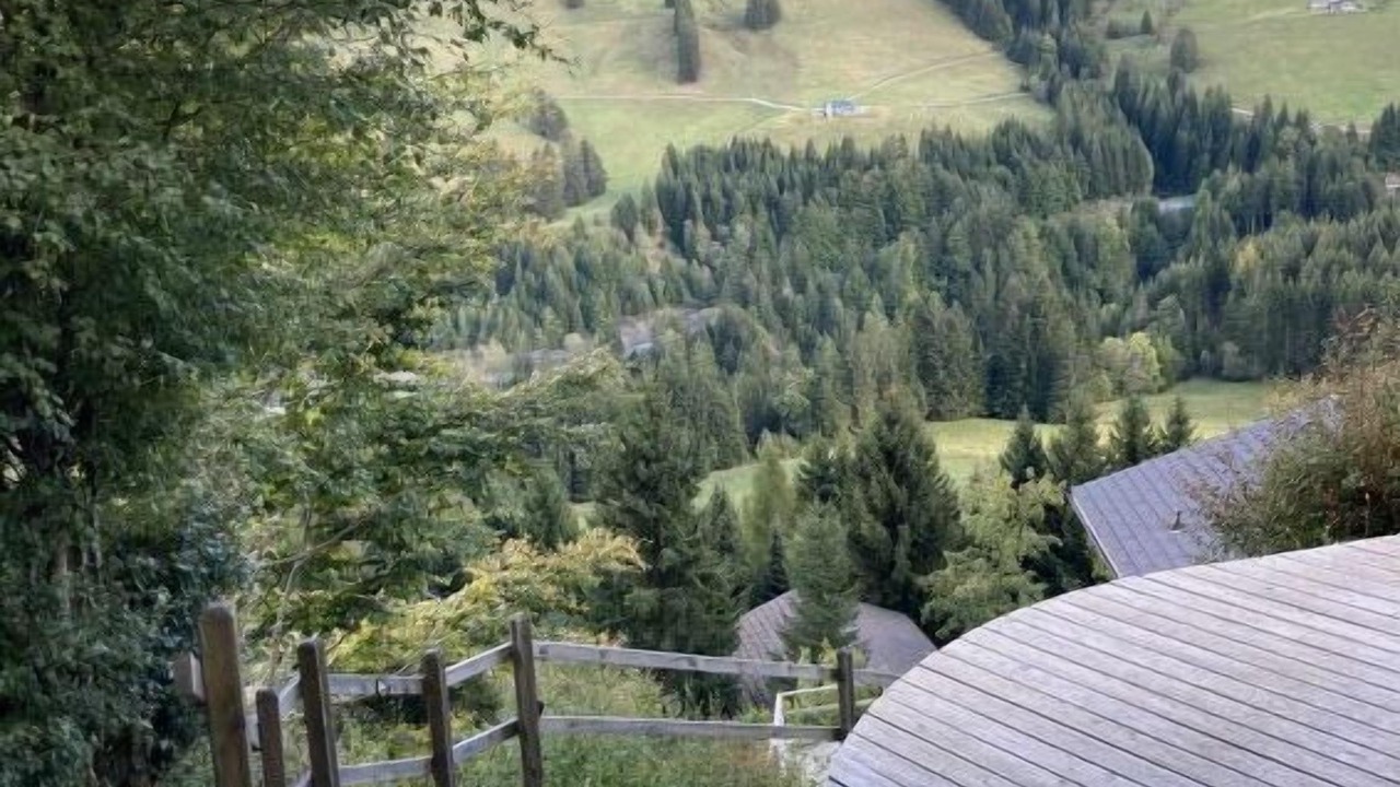 Photo of Outdoor in Moleson
