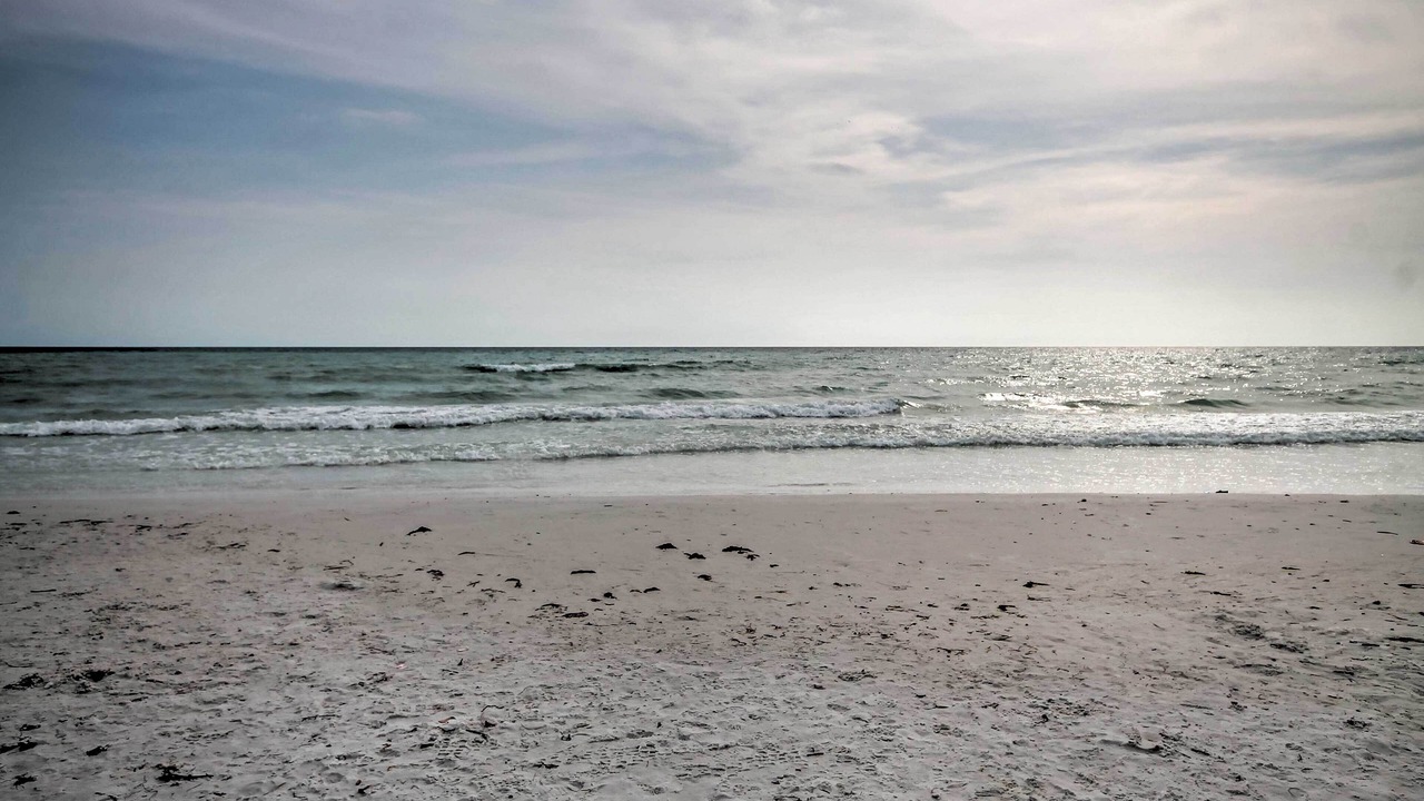 Photo of Others in South Sarasota