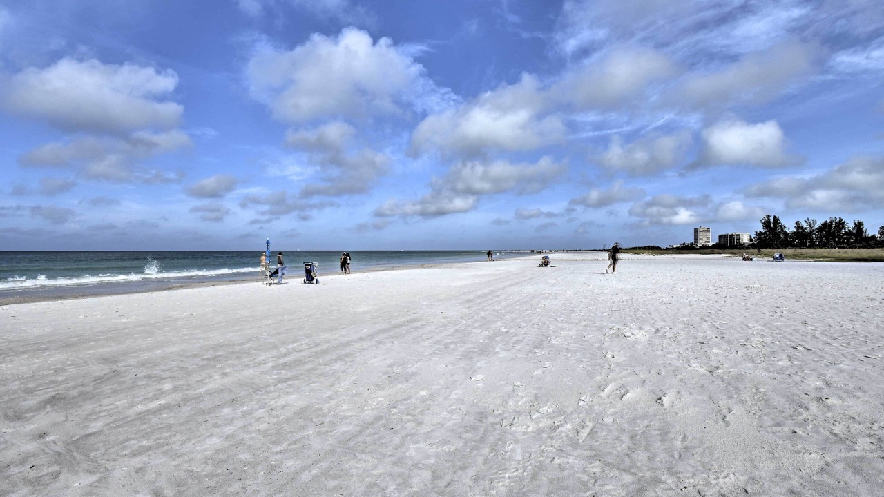 Photo of Others in South Sarasota