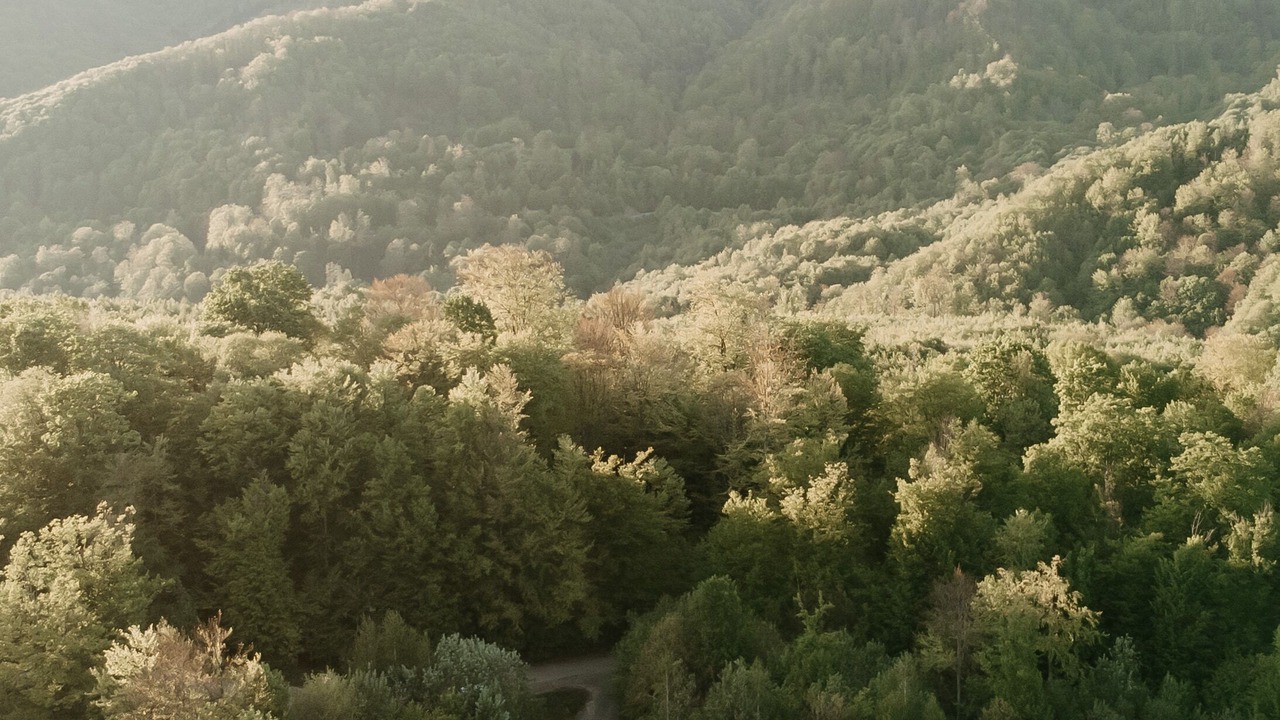 Photo of Outdoor in Baia-Sprie